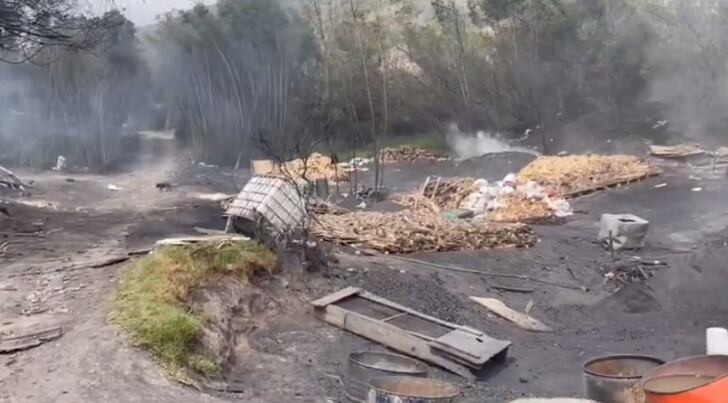 Los sujetos quemaban madera para convertirla en carbón