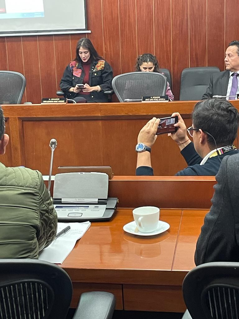 Diana Osorio, esposa del alcalde Daniel Quintero, acompañó a Verónica Alcocer en la Comisión Segunda del Senado.