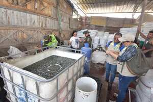 Delitos ambientales en Cartagena