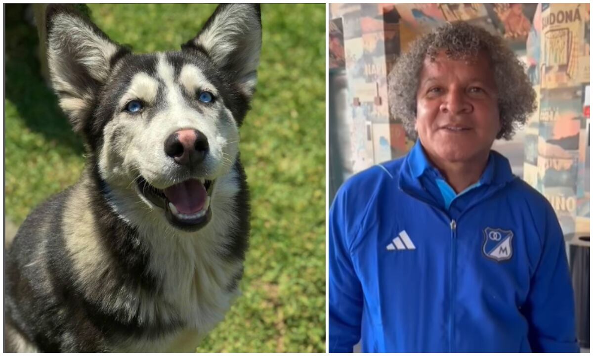 Alberto gamero se une a la campaña, Adopta y no Compres