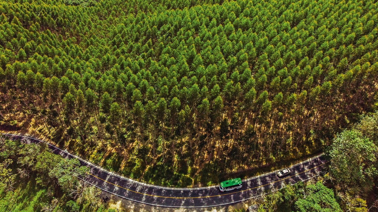 Alemania y Colombia, socios estratégicos