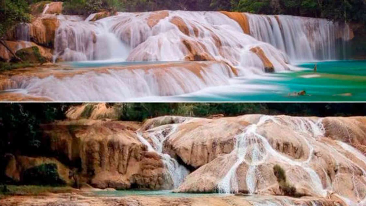 iStock/Alfonso García