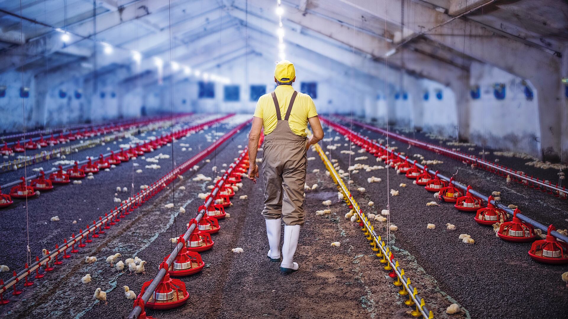 NO USAR, USO EXCLUSIVO MEJOR COLOMBIA, Especial Mejor Colombia, DANE