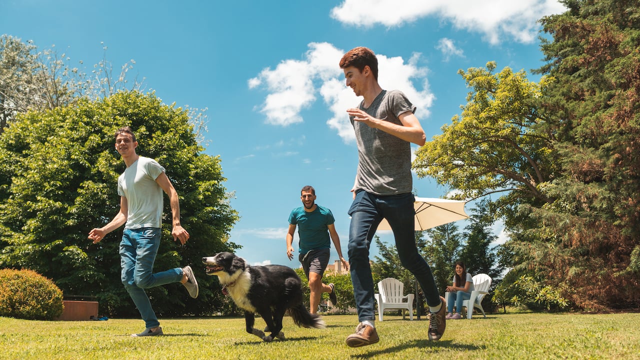 Bogotá forma parte del listado de ciudades petfriendly en América Latina. por “mejores prácticas en el manejo humanitario de perros y gatos”.