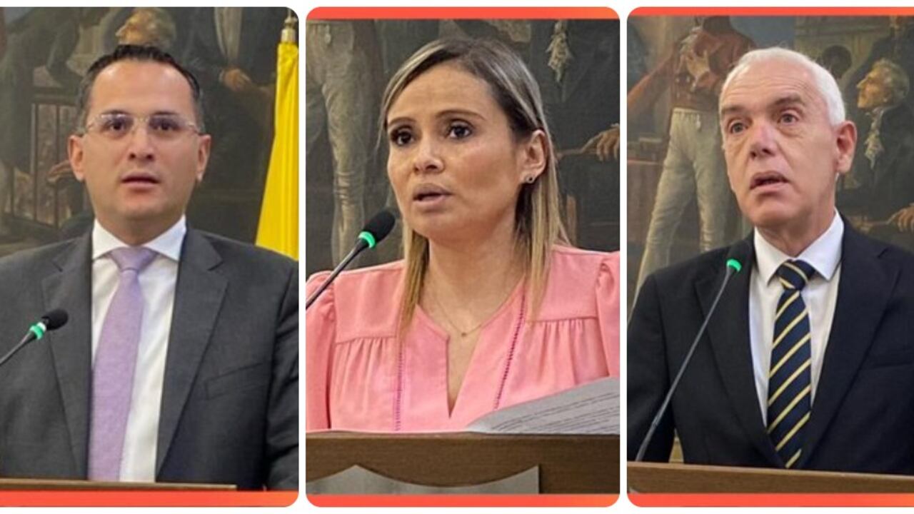 Julián Mauricio Ruiz Rodríguez, Sandra Patricia Bohórquez y Luis Fernando Bueno González, son los candidatos a contralor de Bogotá.