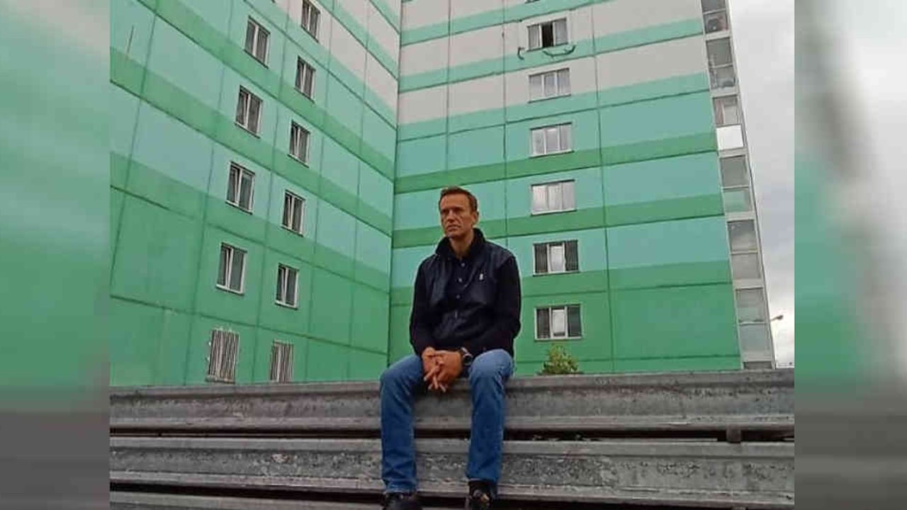 Quién es Alexéi Navalni, opositor de Putin que fue envenenado