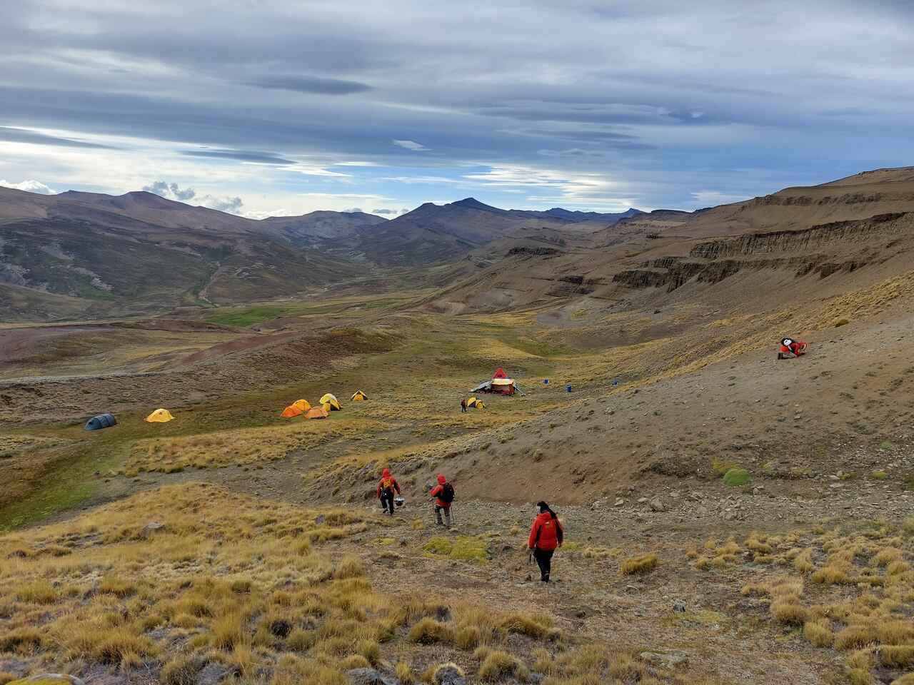 Sudamérica fue hogar del mamífero más pequeño que vivió en la era de los dinosaurios, revelan científicos.