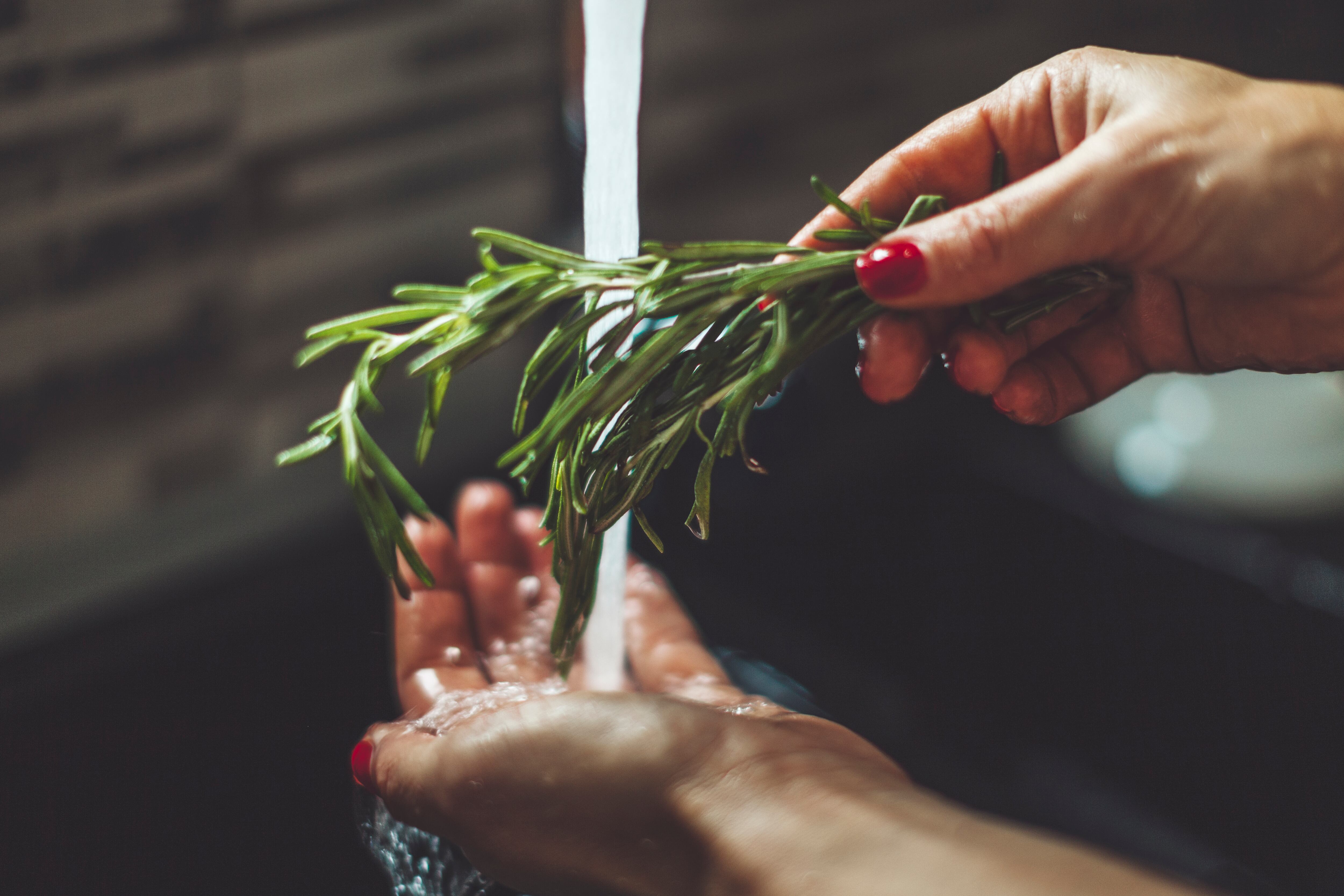 Mujer enjuagando romero en la cocina