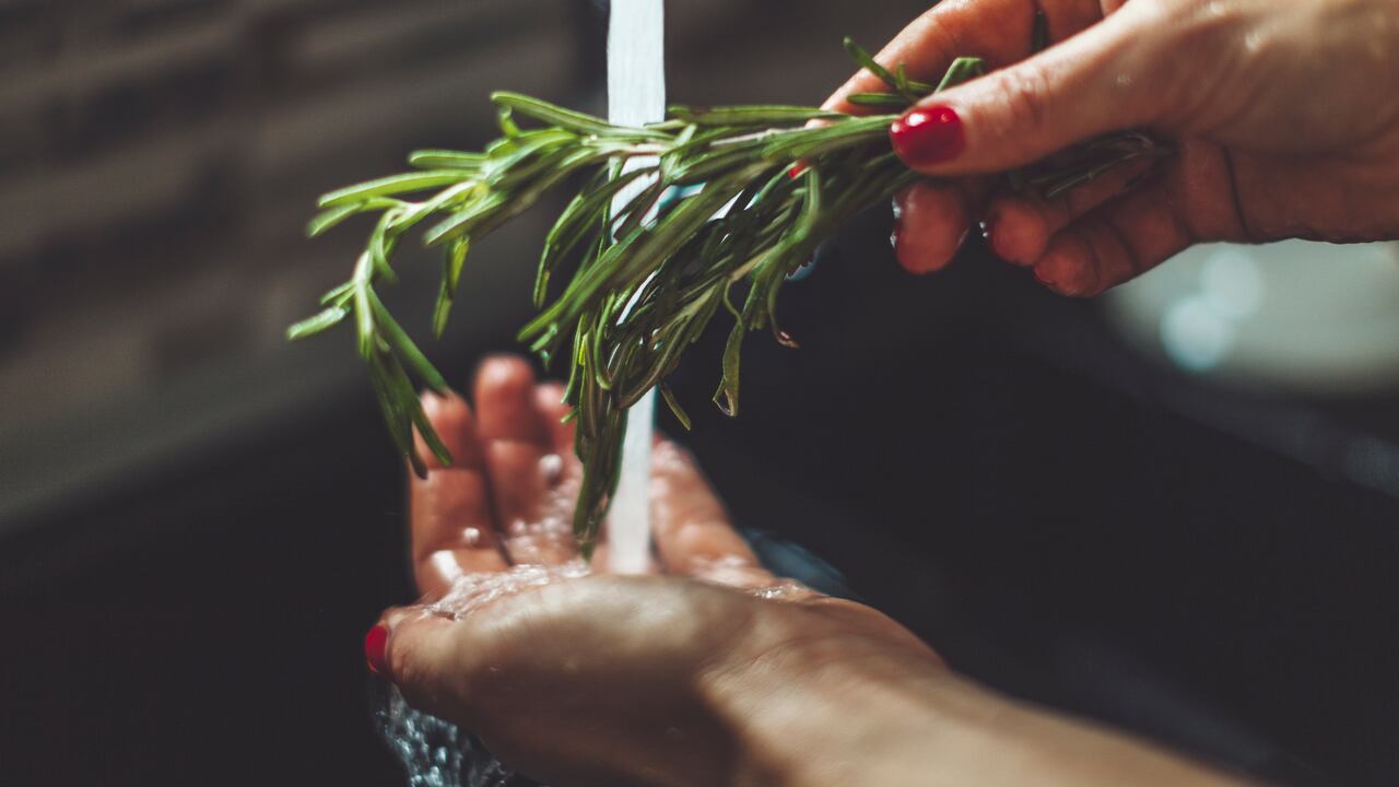 El romero es una de las hierbas más utilizadas en rituales de protección y limpieza energética.