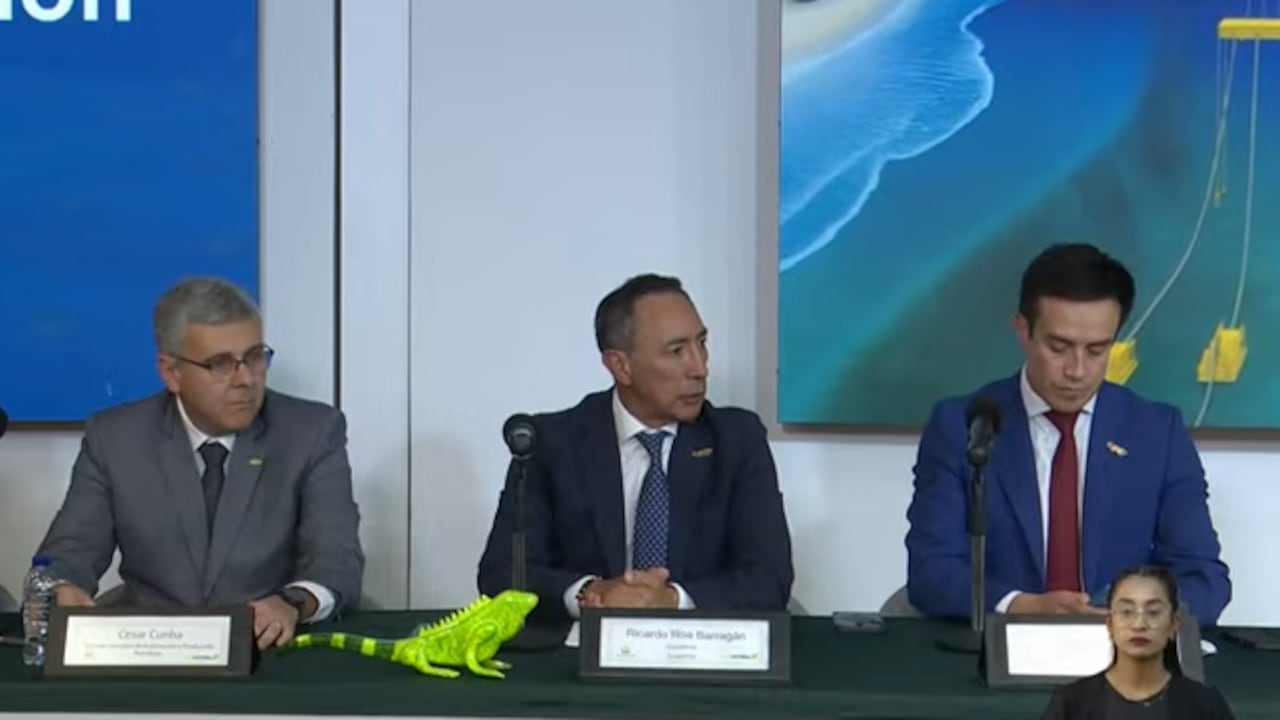 Ricardo Roa, presidente de Ecopetrol, y voceros de Petrobras presentaron los avances con el proyecto Sirius.