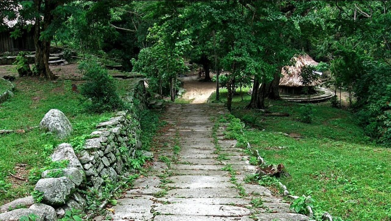 Parque Nacional Tayrona: senderos únicos y playas paradisiacas que no puede dejar de visitar en sus vacaciones