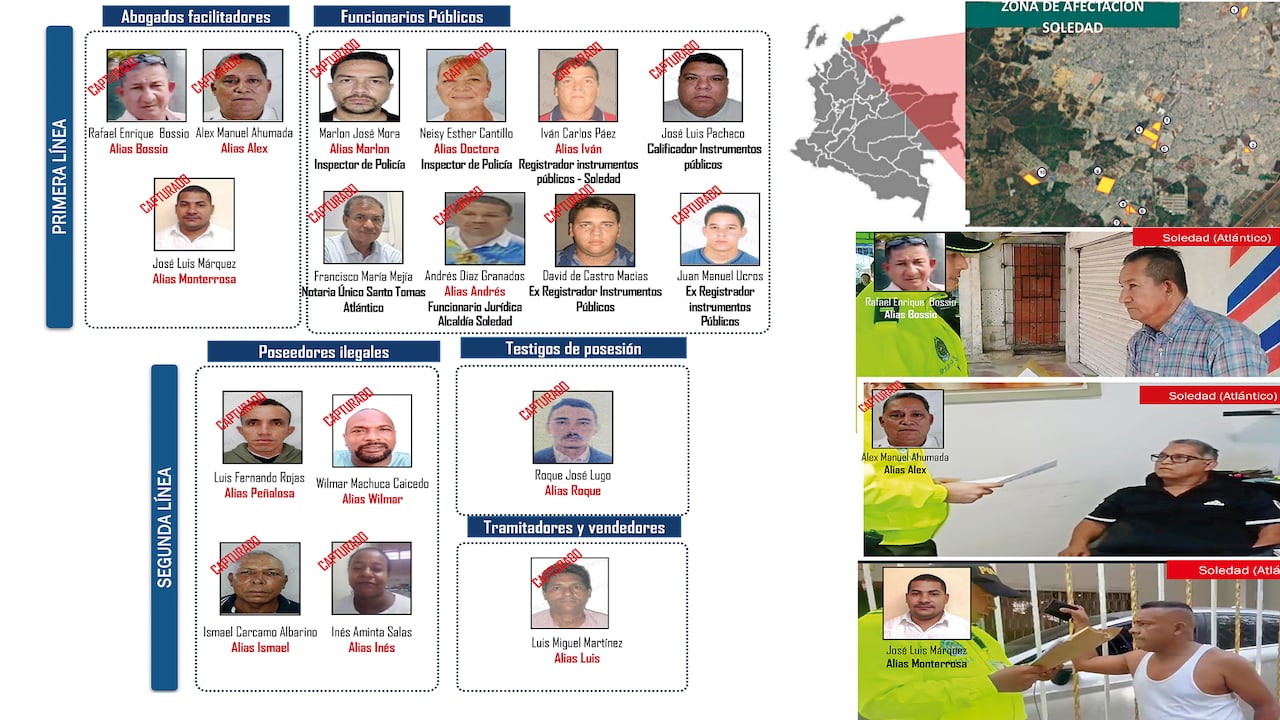 La red robaba predios baldíos.