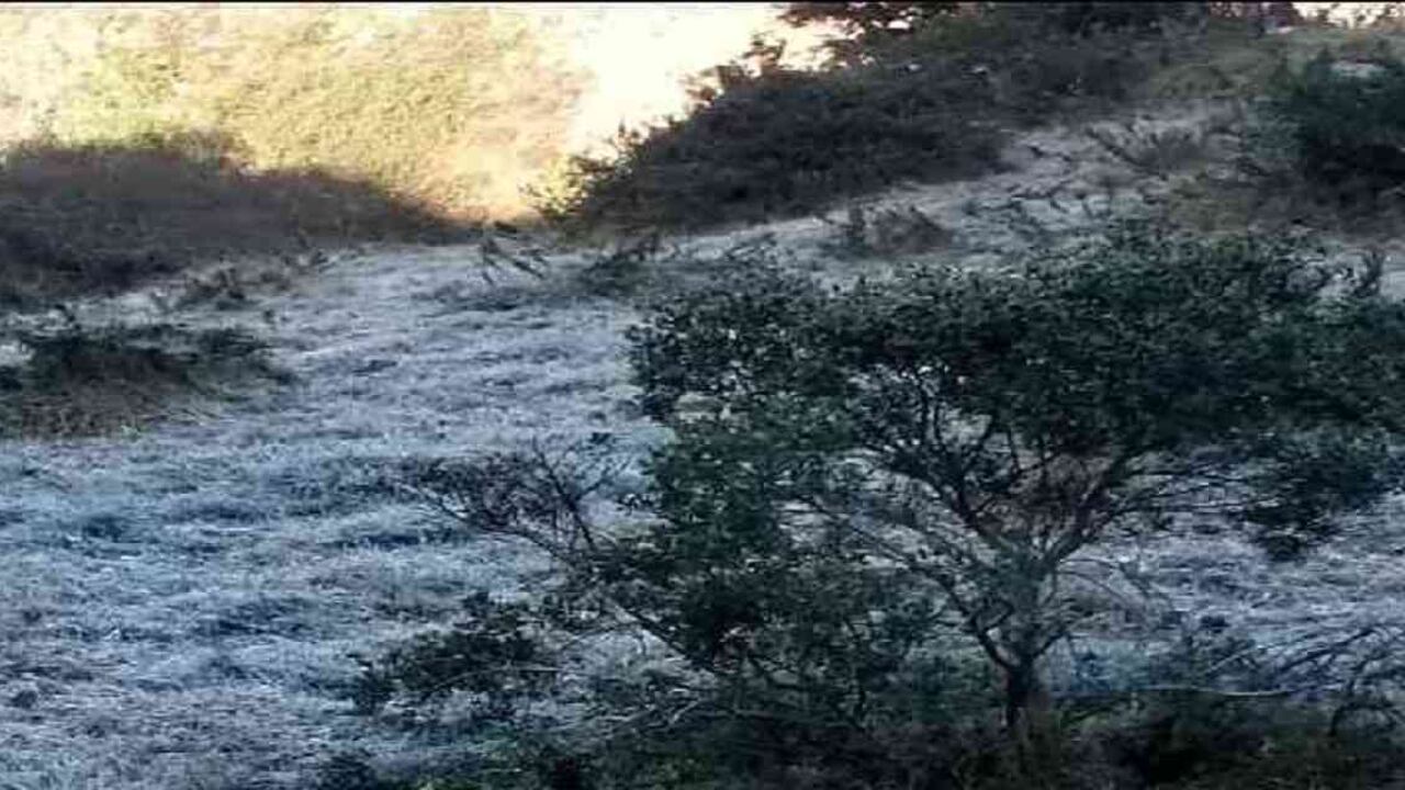 Las heladas pueden causar graves afectaciones en diversos cultivos: Foto: CAR