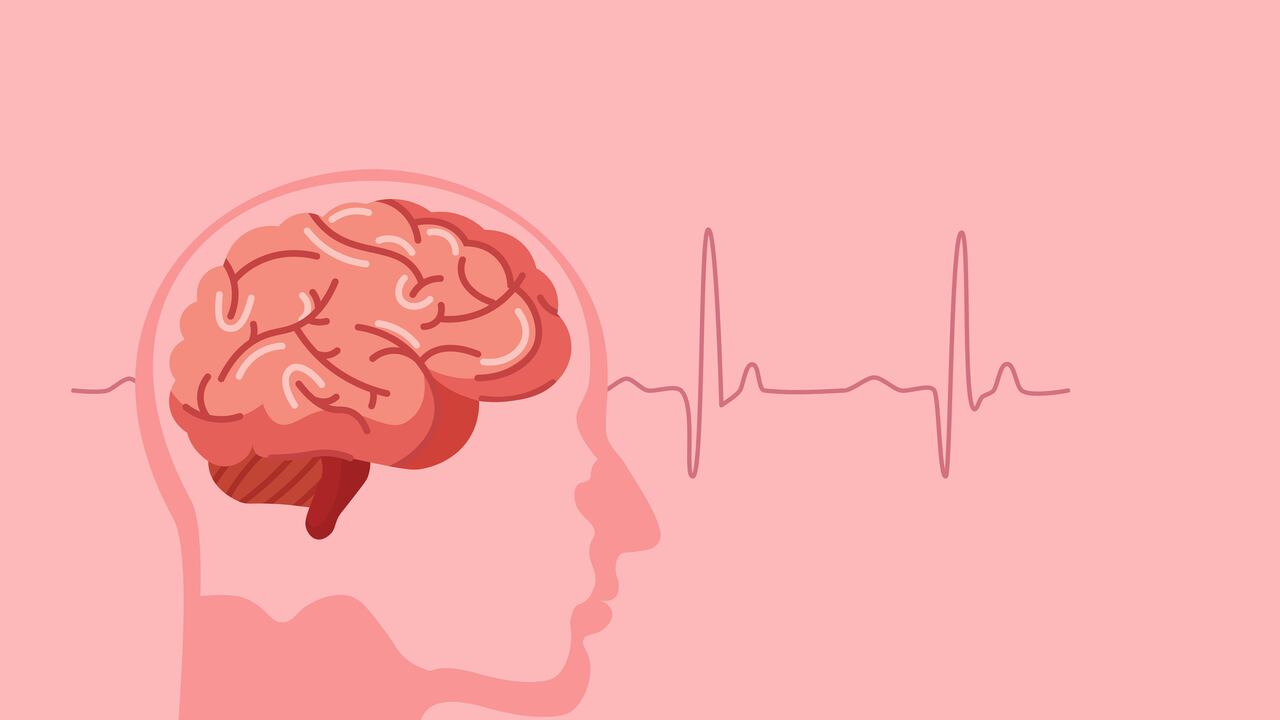 Una experta en cerebro de la Universidad de Harvard la ha recomendado recientemente como un alimento para mejorar la memoria y cerebro.
