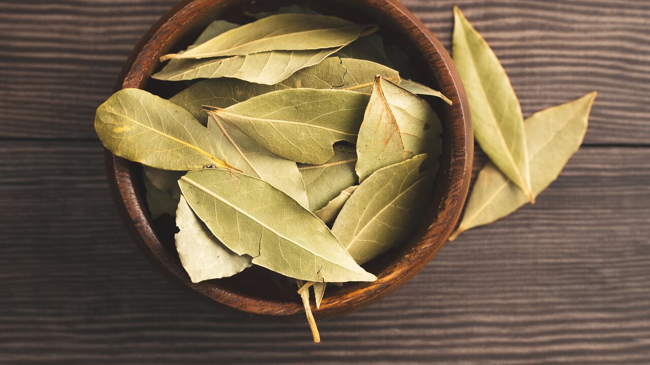 Descubra los beneficios reales del laurel en su hogar.