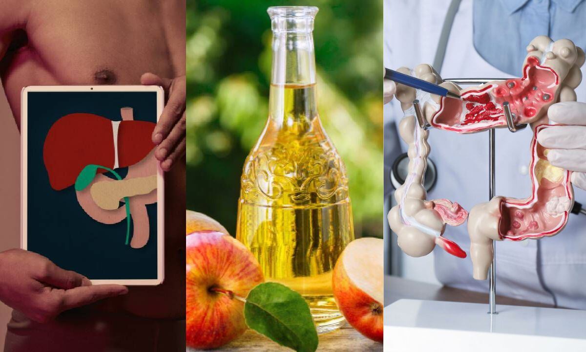 El vinagre de manzana es saludable para el hígado y el colon.