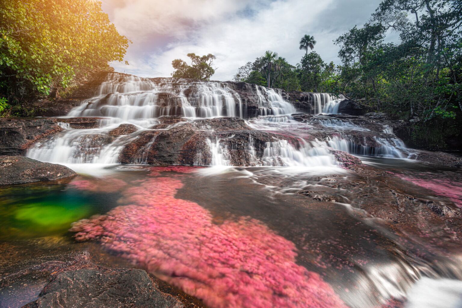 Este ecosistema protegido es considerado como una de las maravillas del mundo por su belleza y biodiversidad.