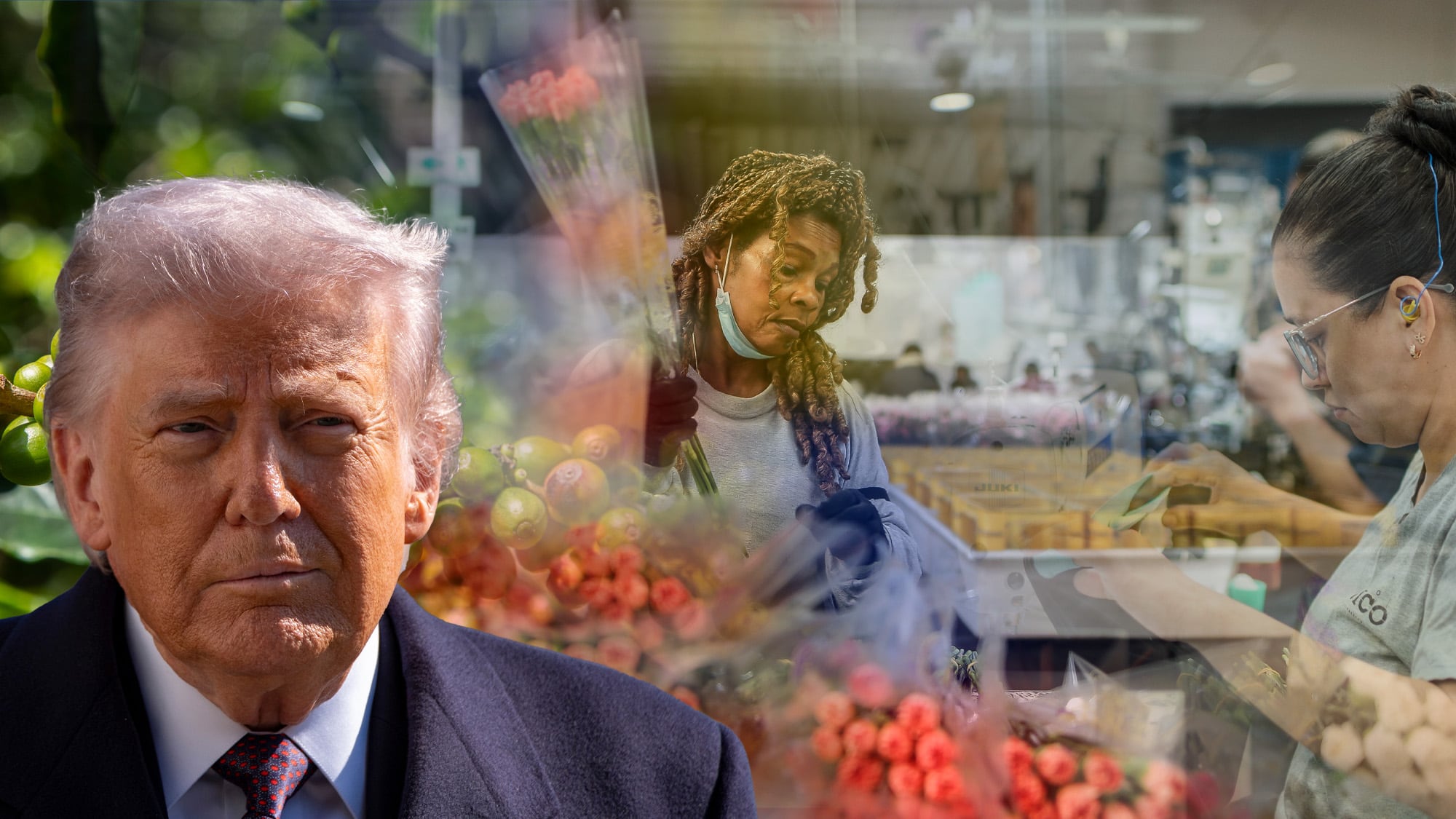 Implicaciones aranceles Trump