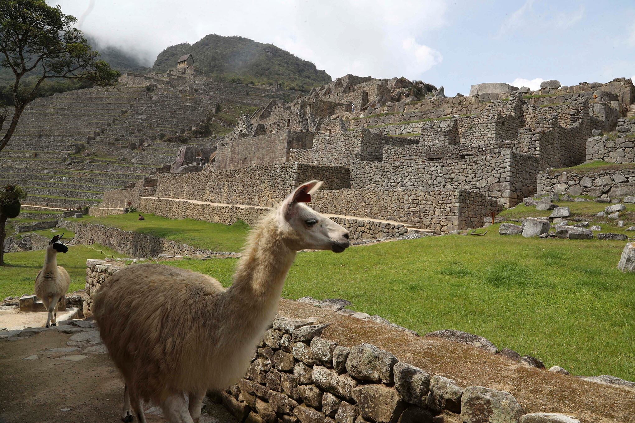 Machu Picchu, abre sus puertas.