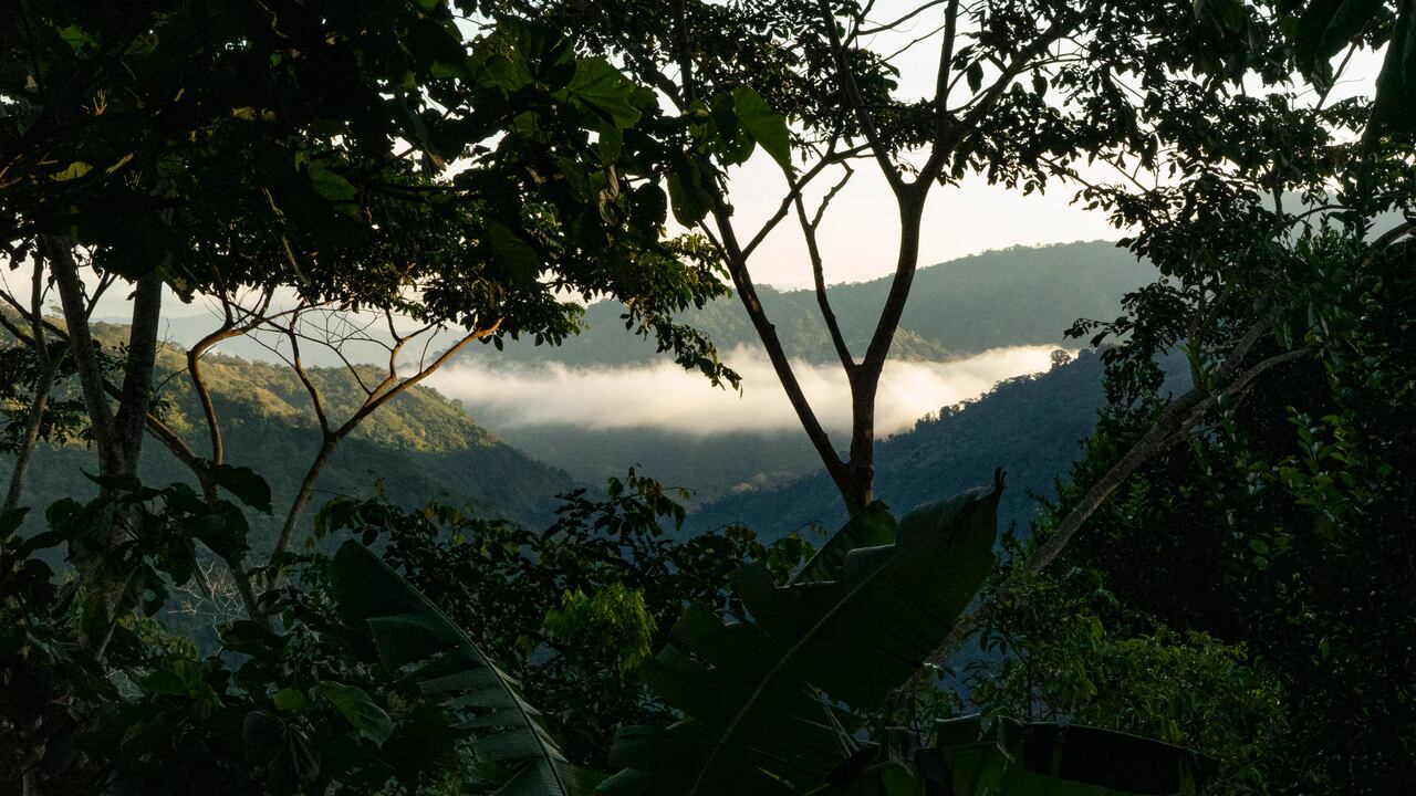 Reserva natural Atinkana