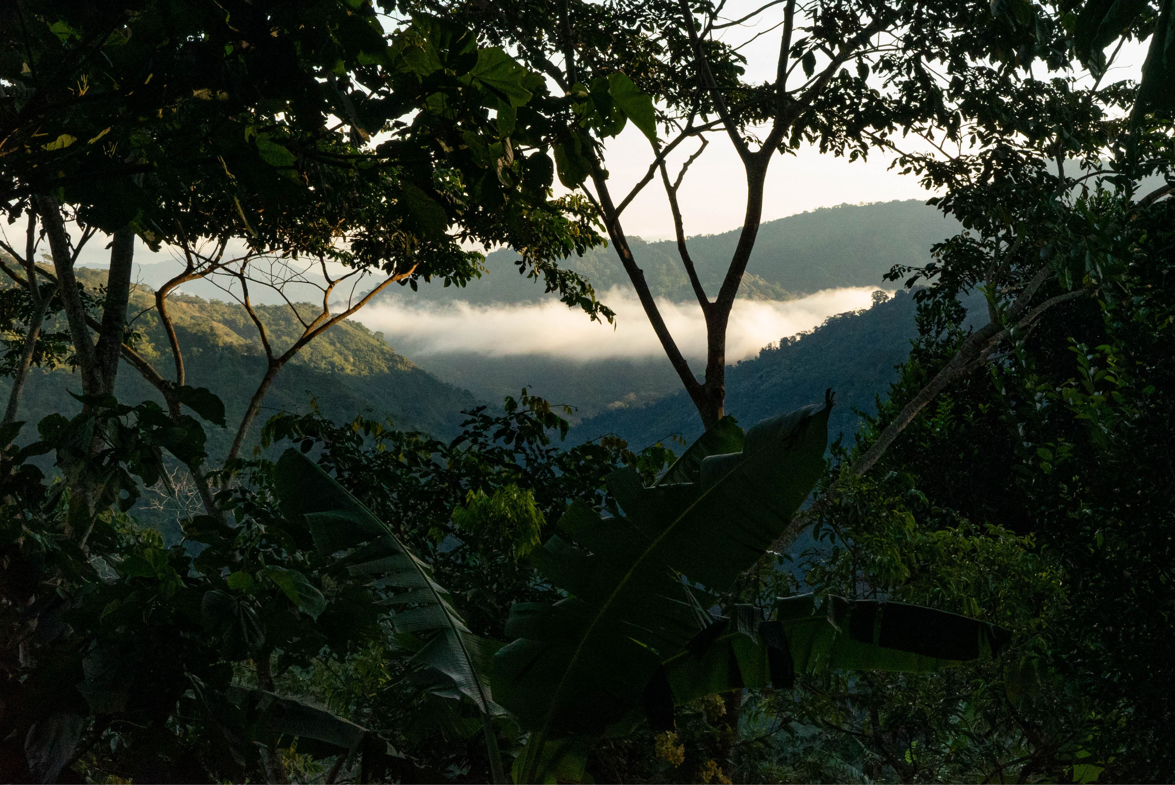 Reserva natural Atinkana