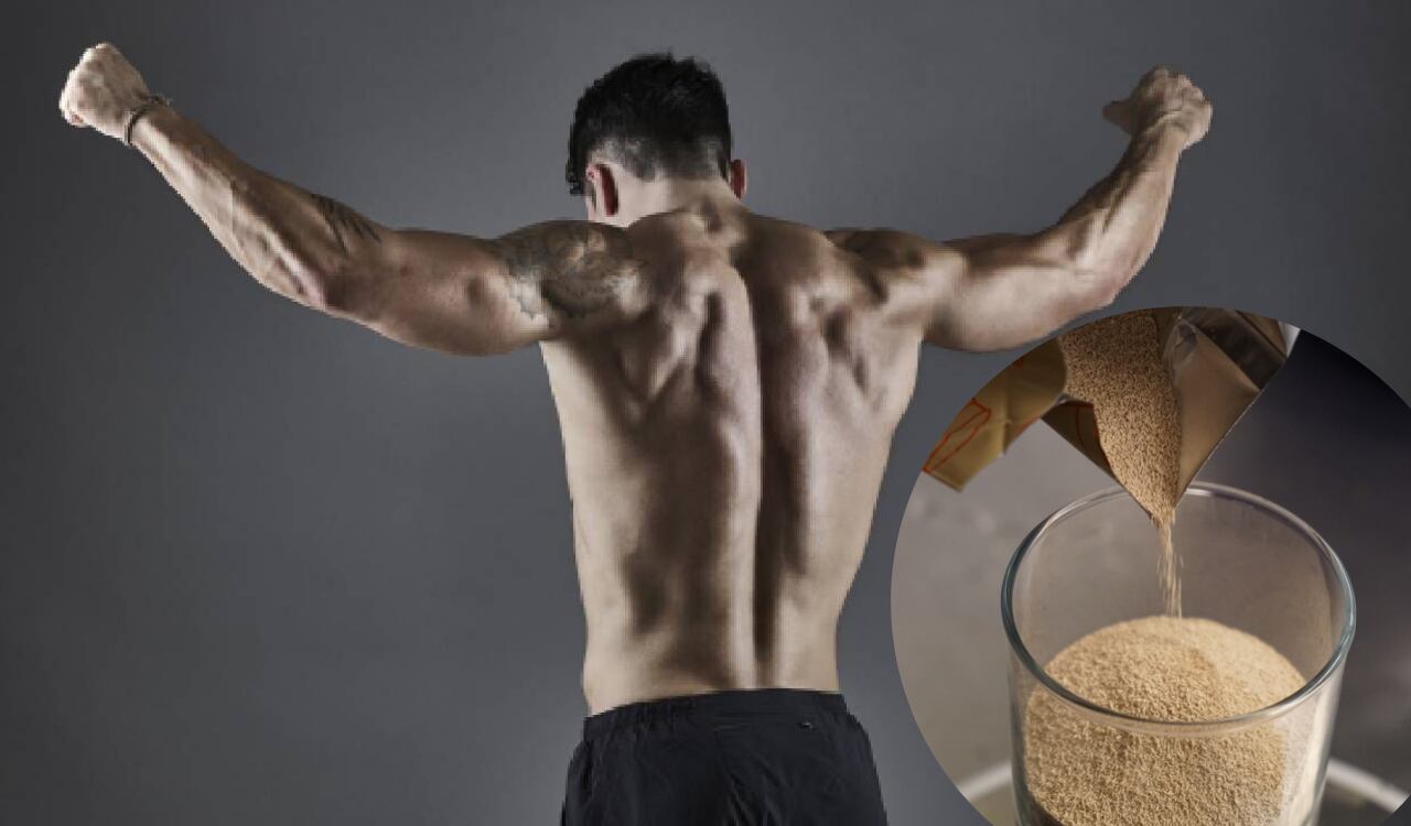 Músculos, levadura de cerveza, ejercicio