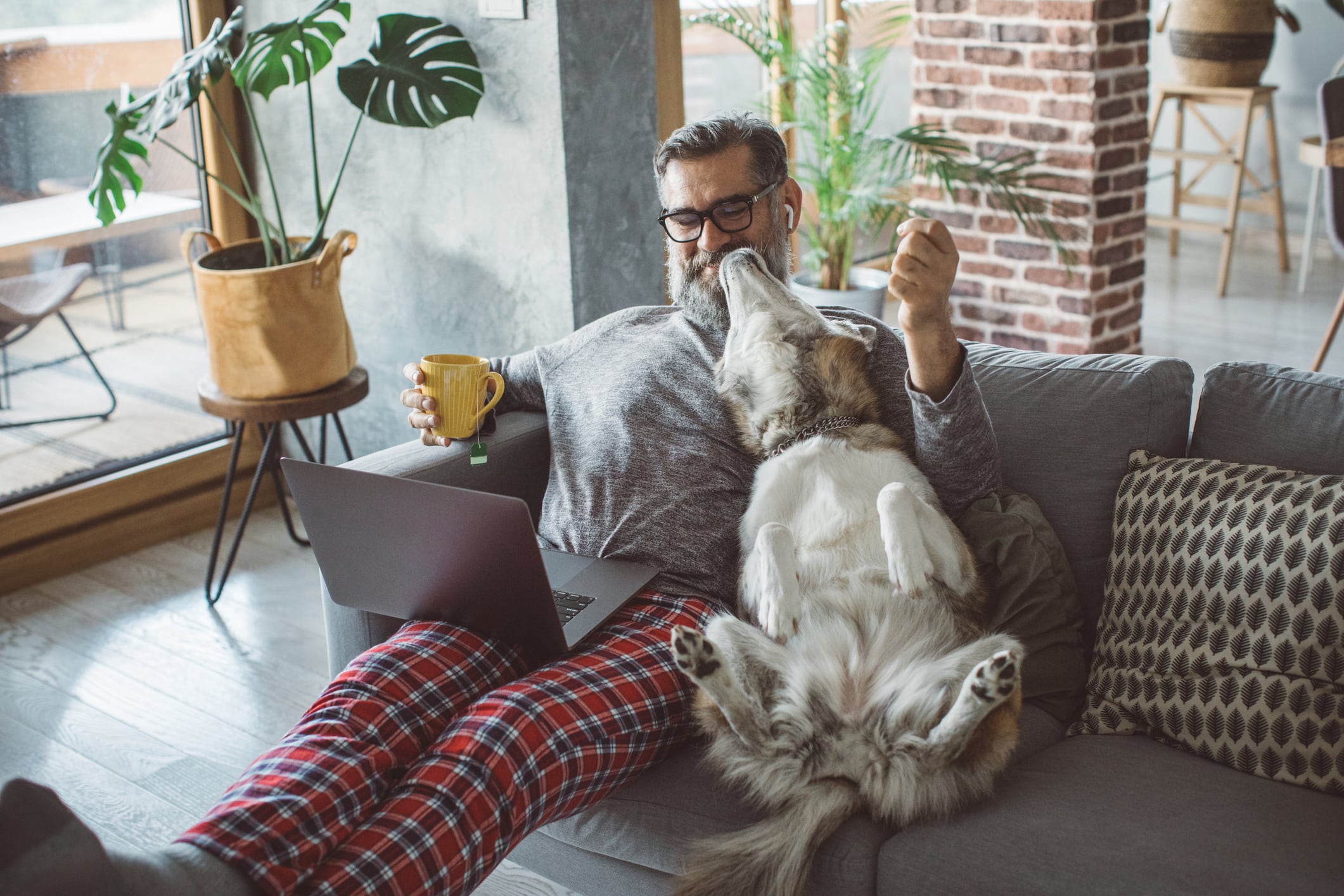 ¿Cómo hacer home office con una mascota en casa?