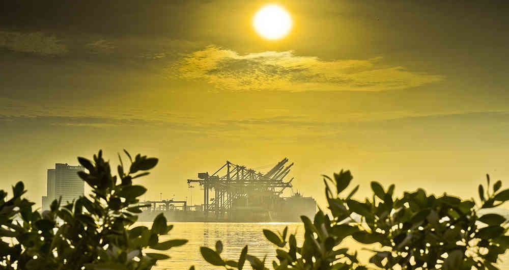 Las grúas Pórtico a lo lejos en un atardecer cartagenero.