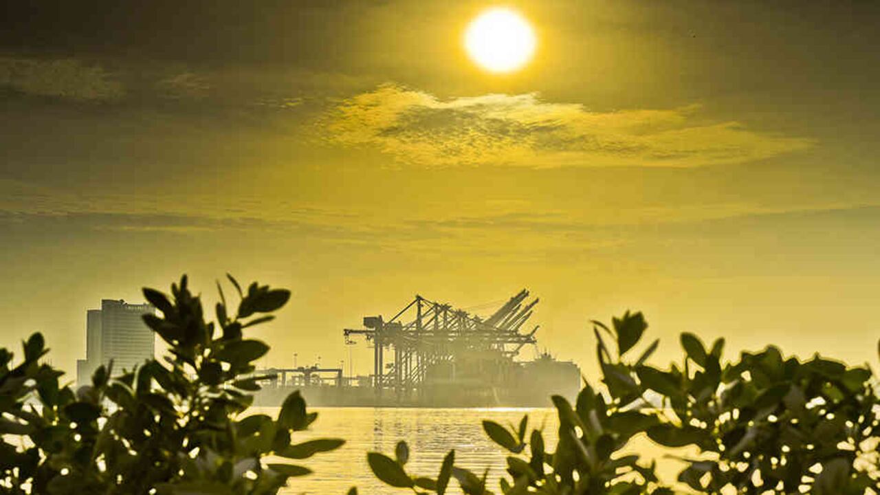 Las grúas Pórtico a lo lejos en un atardecer cartagenero.