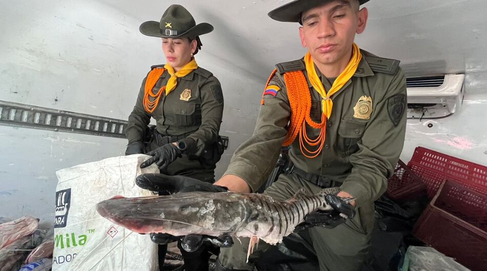 Pescado incautado por irregularidades en Medellín.