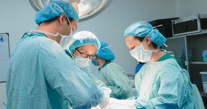 Este ha sido un periodo de discusión especialmente relacionado con la autonomía médica.