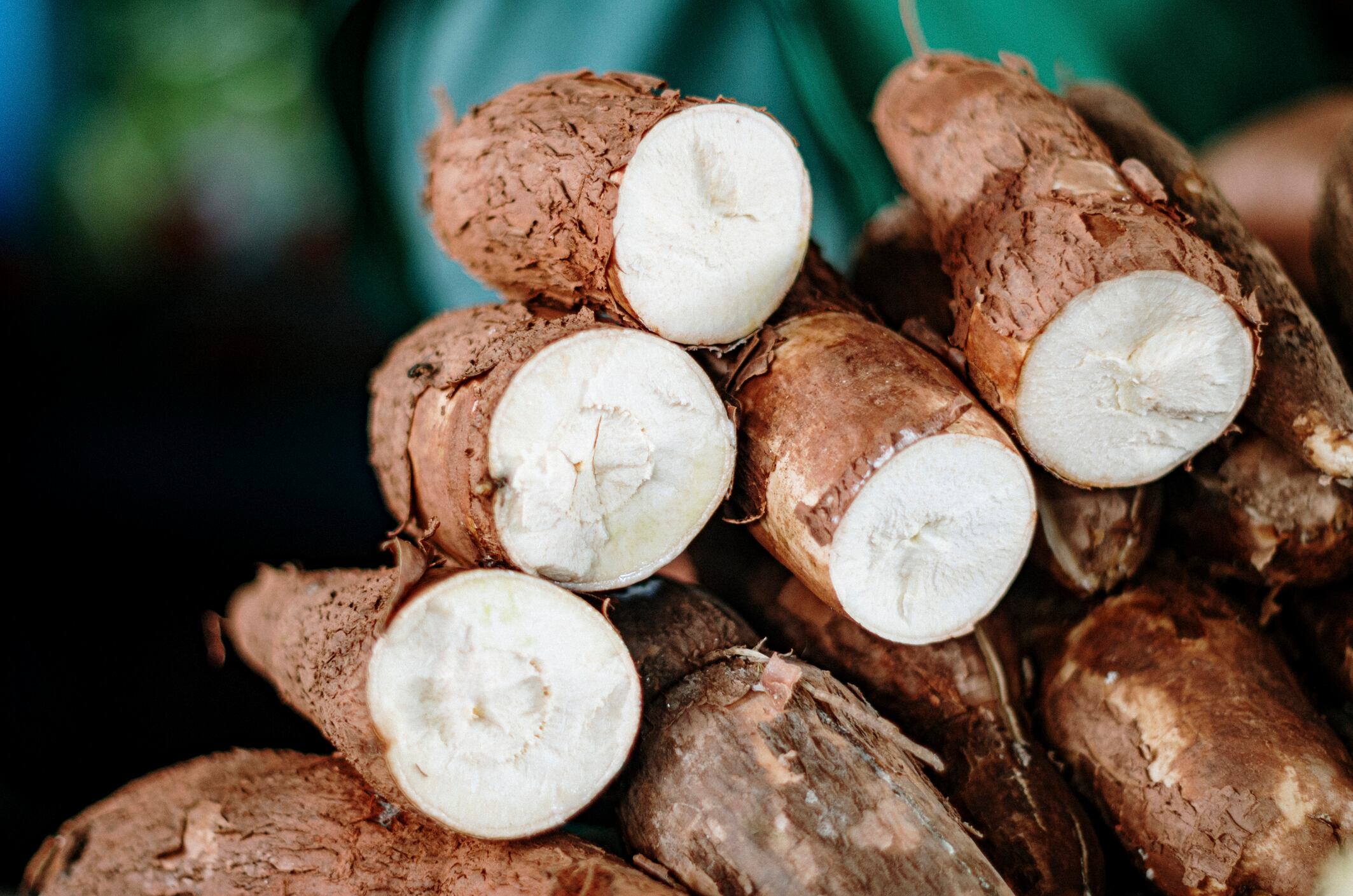 cassava plants in market