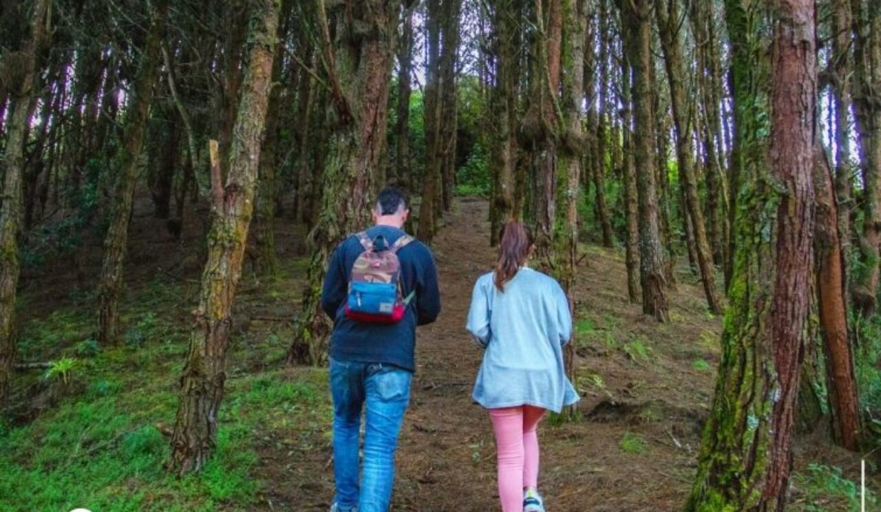 Nuevo Colón, Boyacá