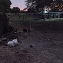 Así quedó el carro del Ejército que fue atacado por hombres del ELN en Arauca este 9 de enero.