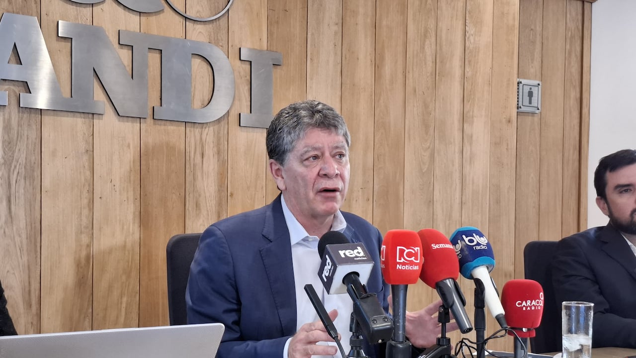 Bruce Mac Master, director de la ANDI.