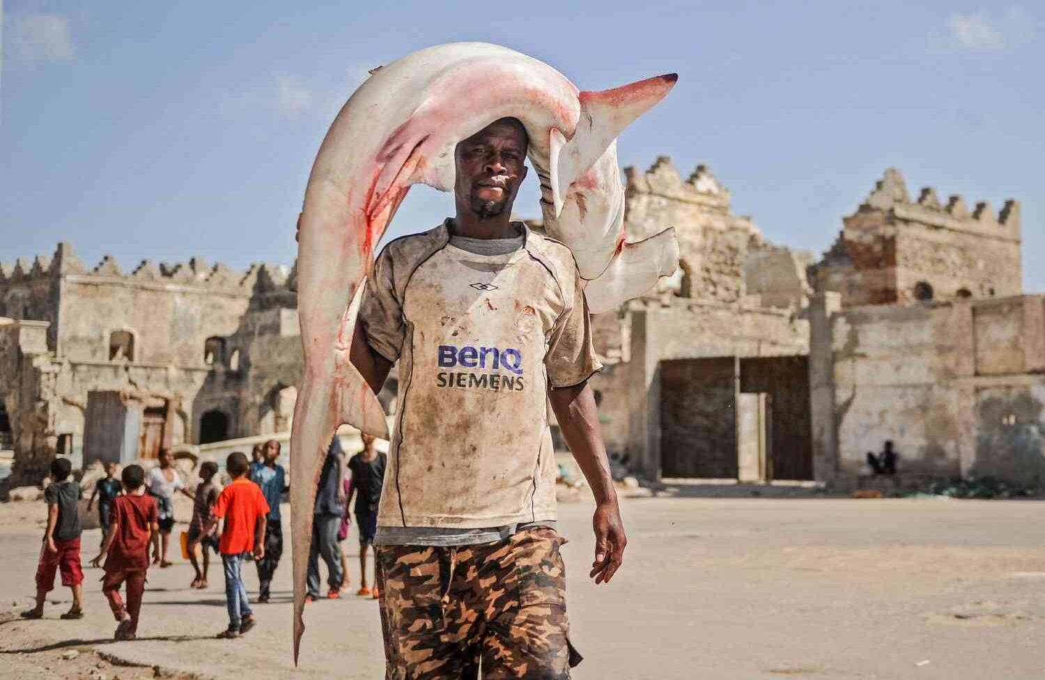 Un pescador somalí lleva un tiburón martillo en su cabeza al mercado de pescado de Hamarweyne, cerca del puerto de Mogadiscio, Somalia, el 5 de enero de 2018. / AFP PHOTO / Mohamed ABDIWAHAB.