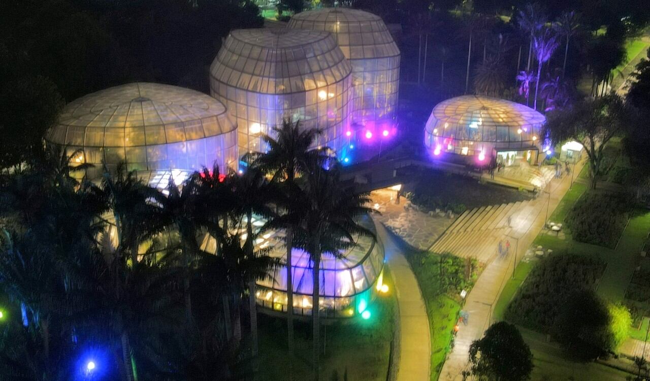 El Jardín Botánico tiene un espectacular alumbrado navideño que se podrá disfrutar hasta el próximo 16 de enero