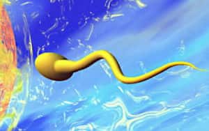 La combinación de dos hormonas en gel logró reducir la producción de esperma en los participantes.