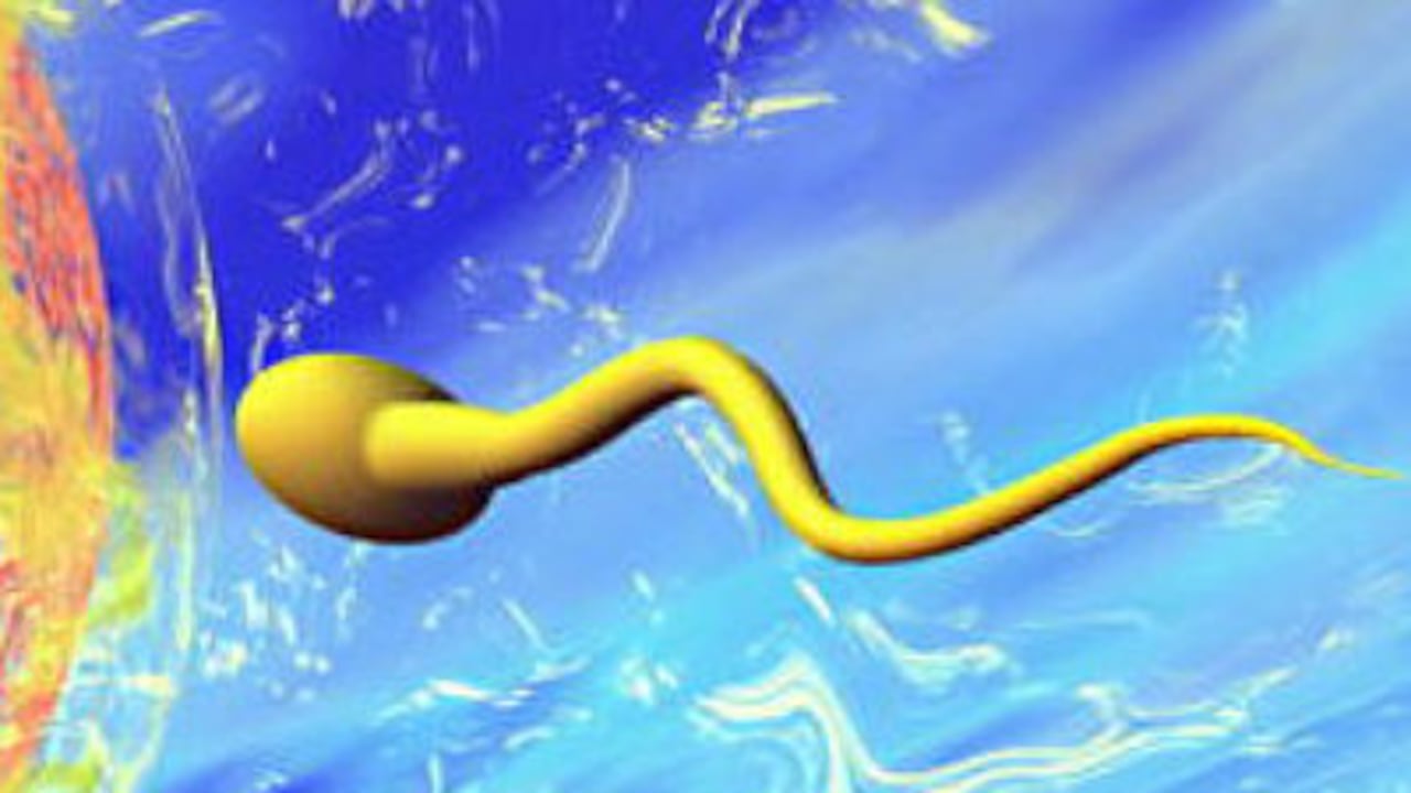 La combinación de dos hormonas en gel logró reducir la producción de esperma en los participantes.