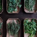 El tomillo es solo una de las muchas plantas aromáticas que tienen propiedades medicinales.