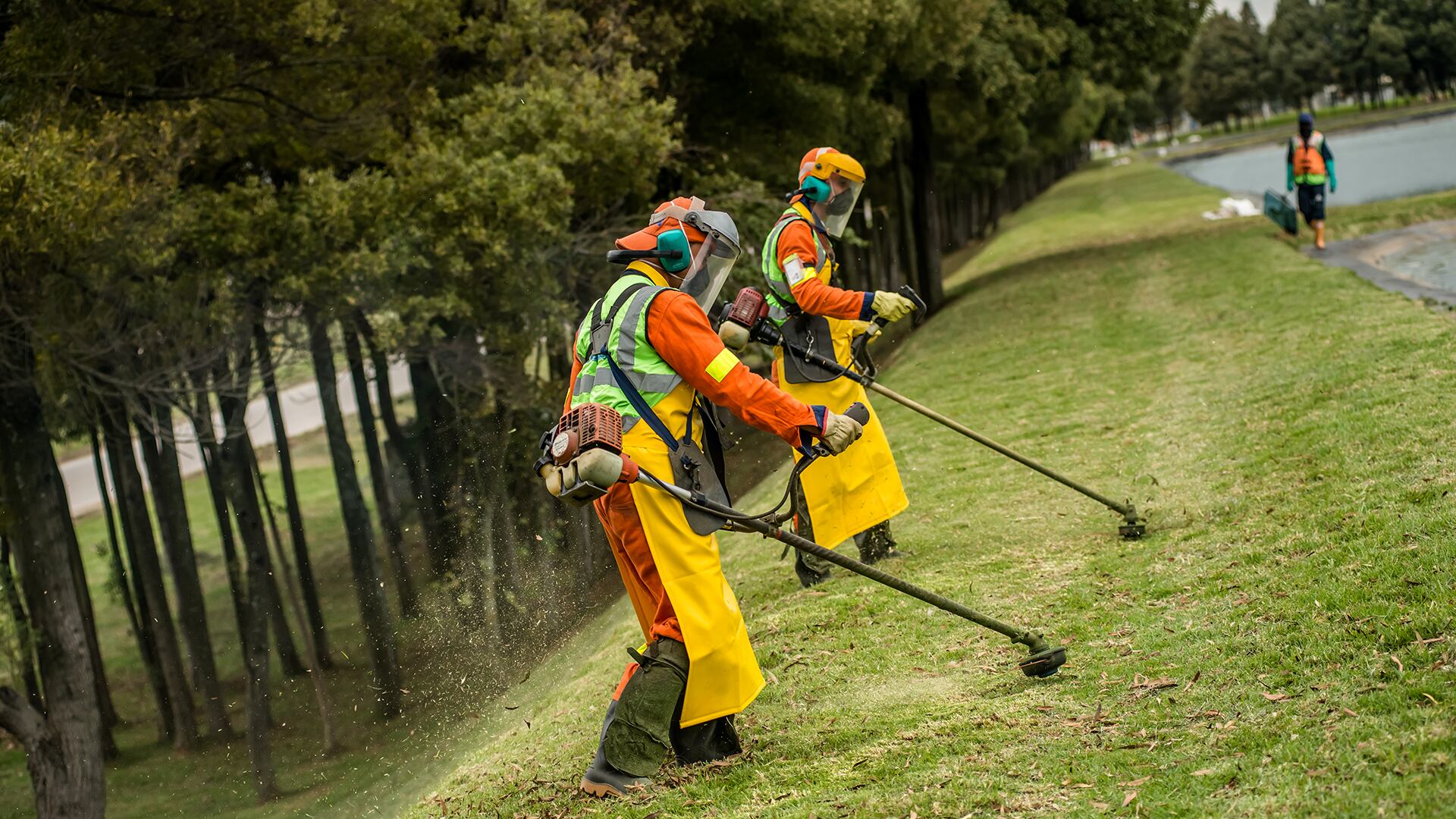 Interaseo realiza tareas complementarias de las empresas como el aseo, limpieza, desinfección, silvicultura, fumigación y control de plagas, para que estas se concentren en desarrollar su core del negocio.