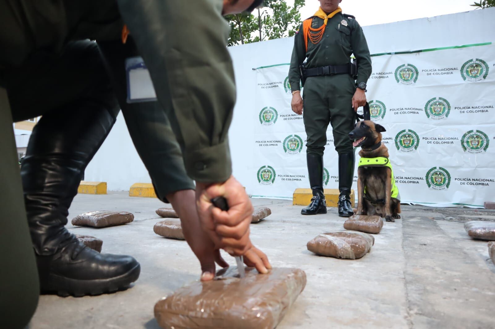 Estos paquetes fueron encontrados dentro de una bodega.