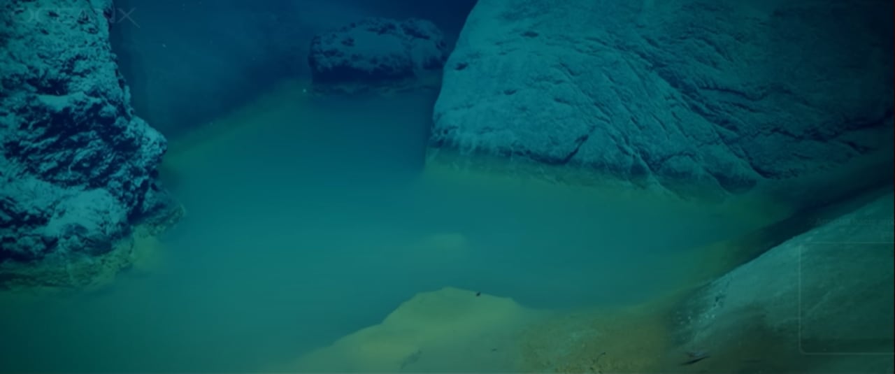 En una expedición reciente, científicos encontraron una "piscina de la muerte" en el Mar Rojo, un lugar letal por la falta de oxígeno y la alta salinidad.