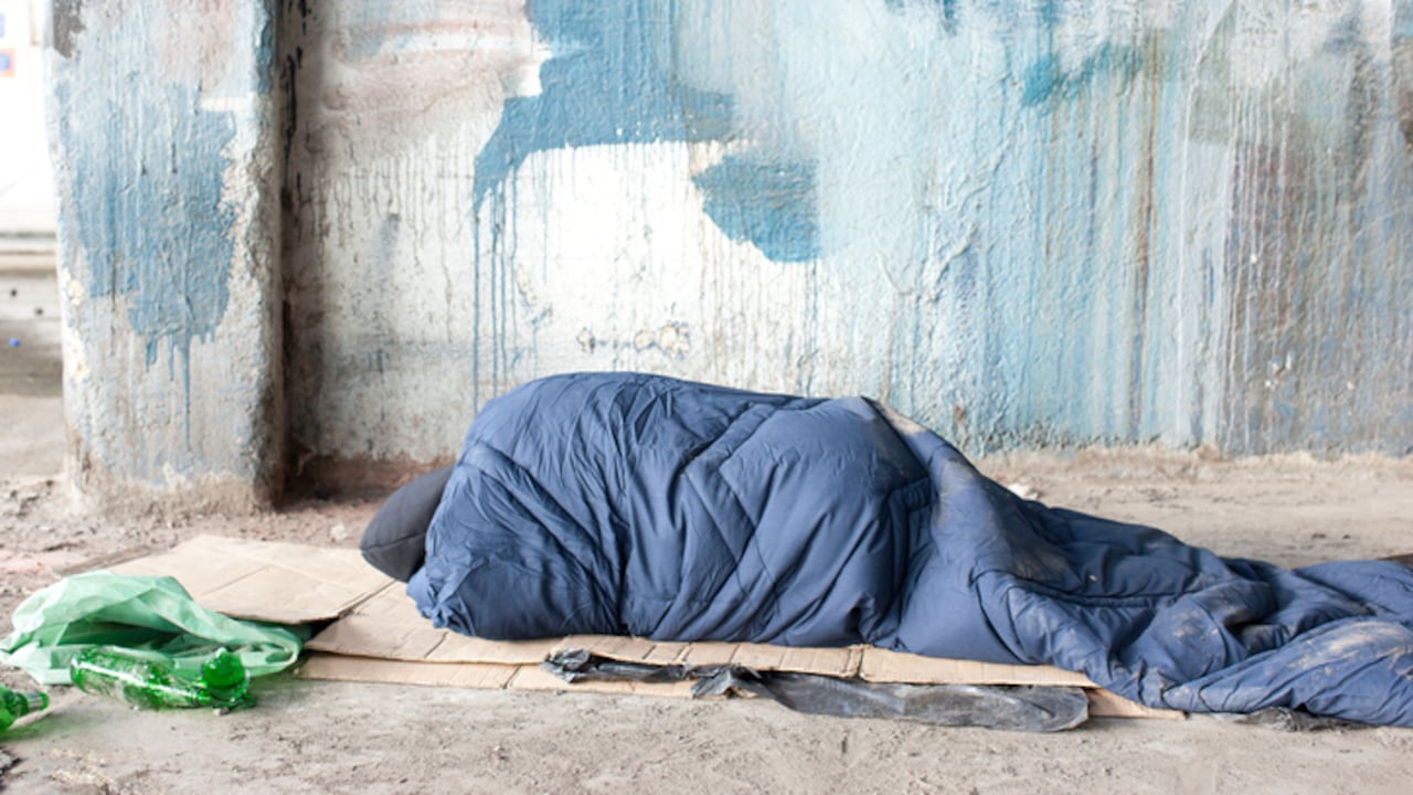 Normand acusó a Hernández de mendigar en su territorio. El desacuerdo rápidamente se volvió a una riña totalmente física.