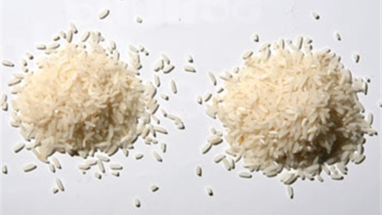 Arroceros deacuerdo con importación del cereal.