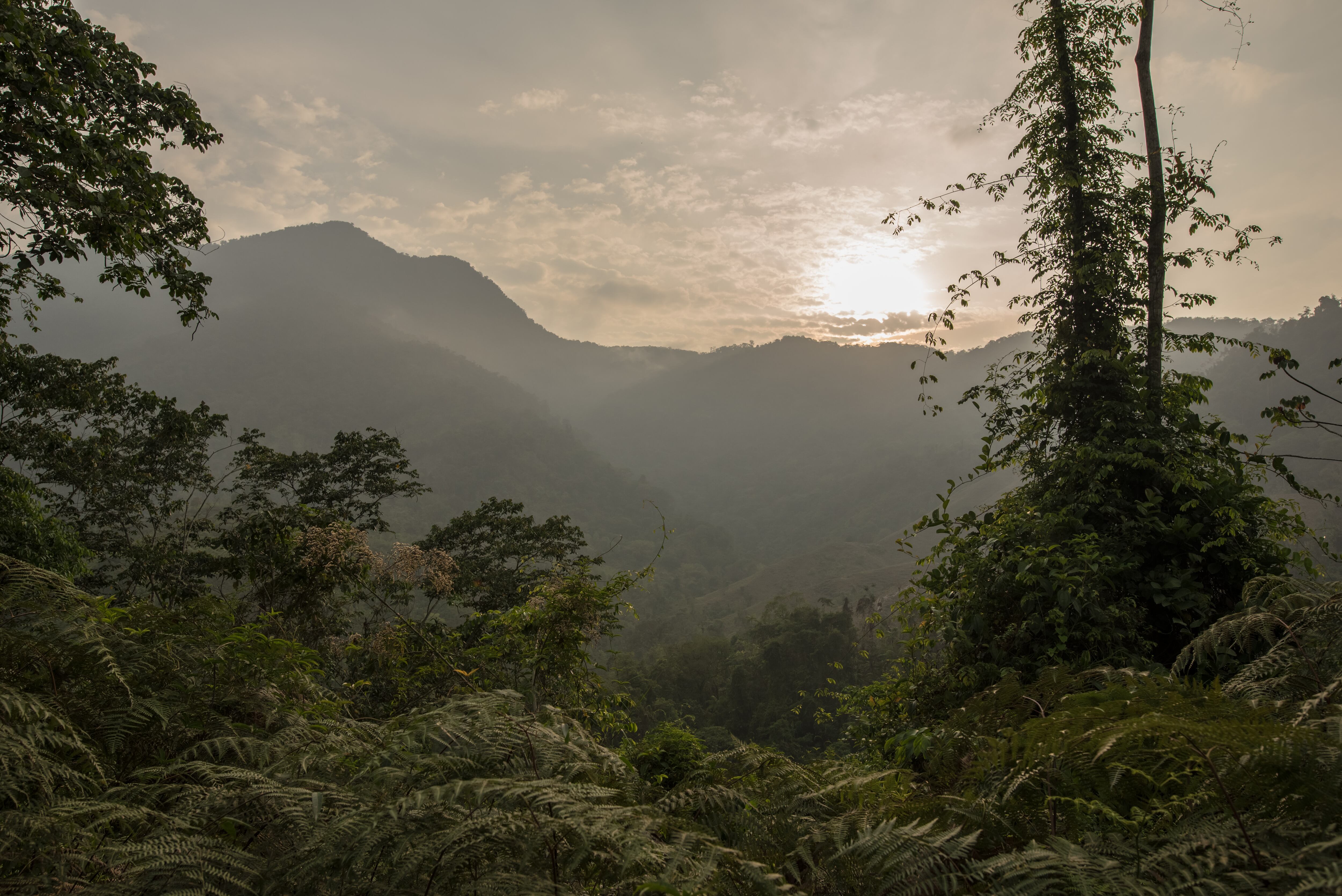 Ciudad Perdida, en Santa Marta: historia y cómo llegar a este maravilloso destino de Colombia