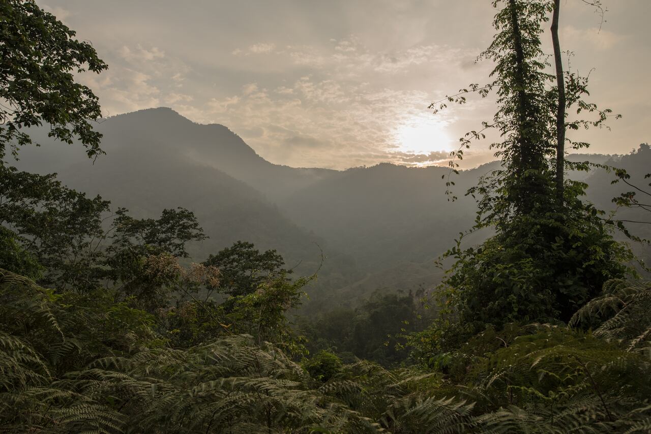 Ciudad Perdida, en Santa Marta: historia y cómo llegar a este maravilloso destino de Colombia