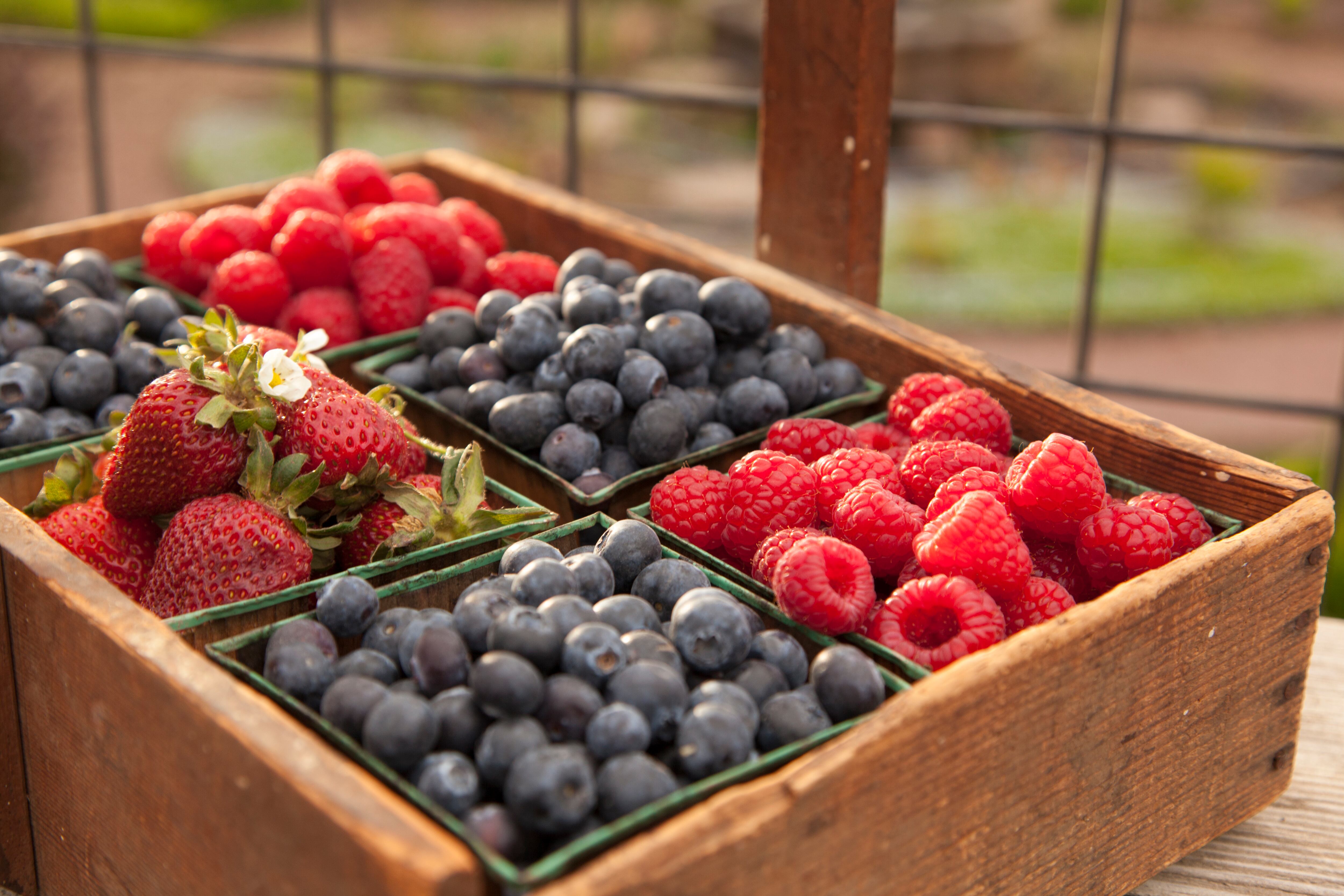 El yogurt de frutos rojos es un alimento que ayudará a conciliar de mejor manera el sueño.