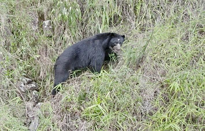 Labranzagrande, Boyacá