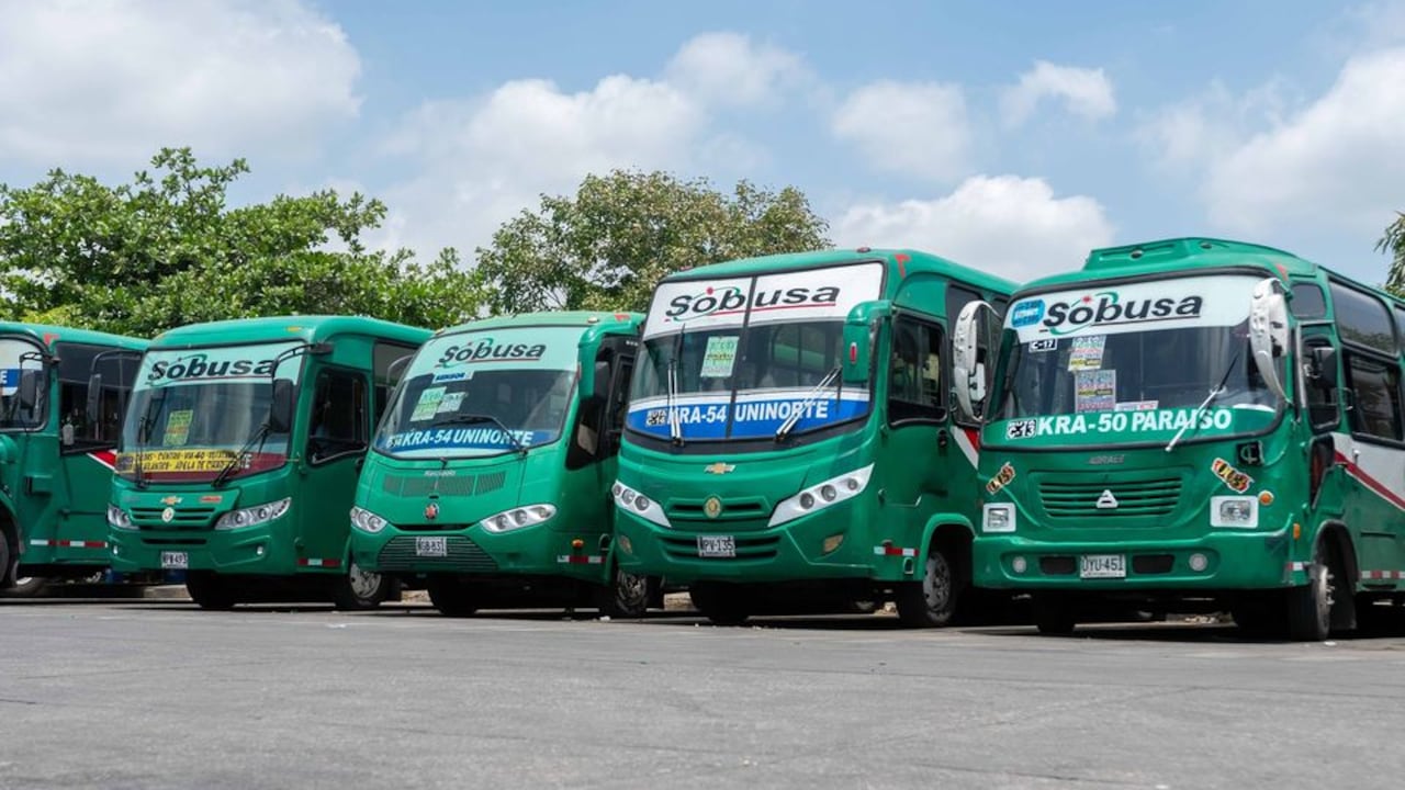 Imagen de referencia.